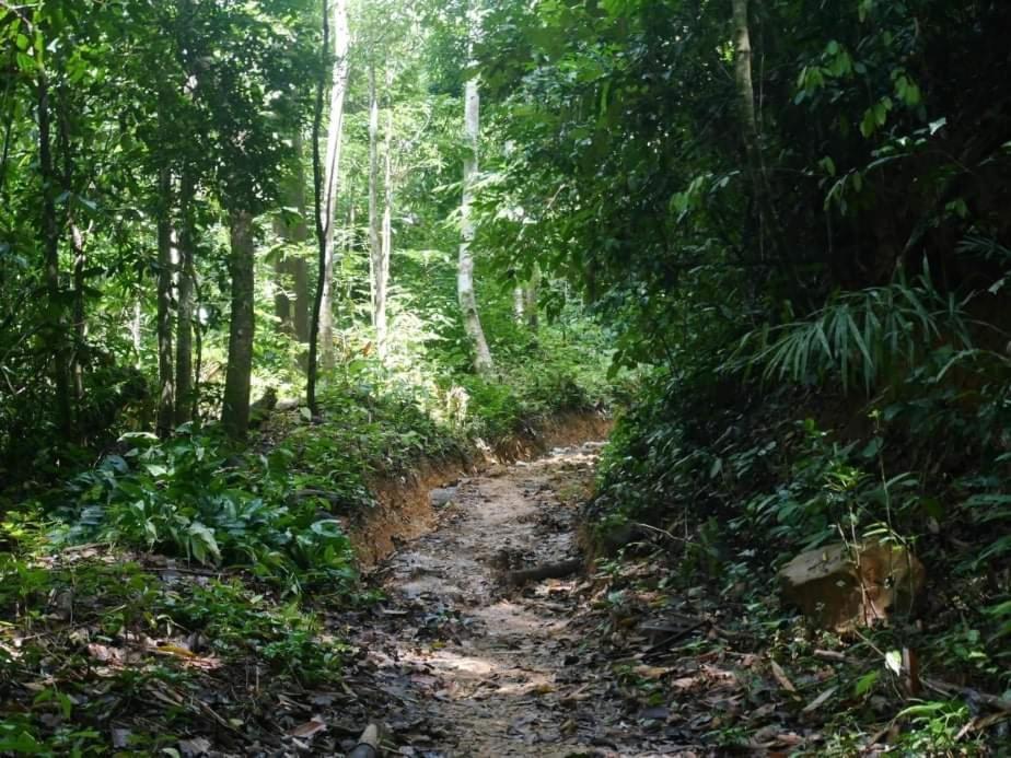 Khao Sok River & Jungle Bungalow Khao Sok National Park Экстерьер фото