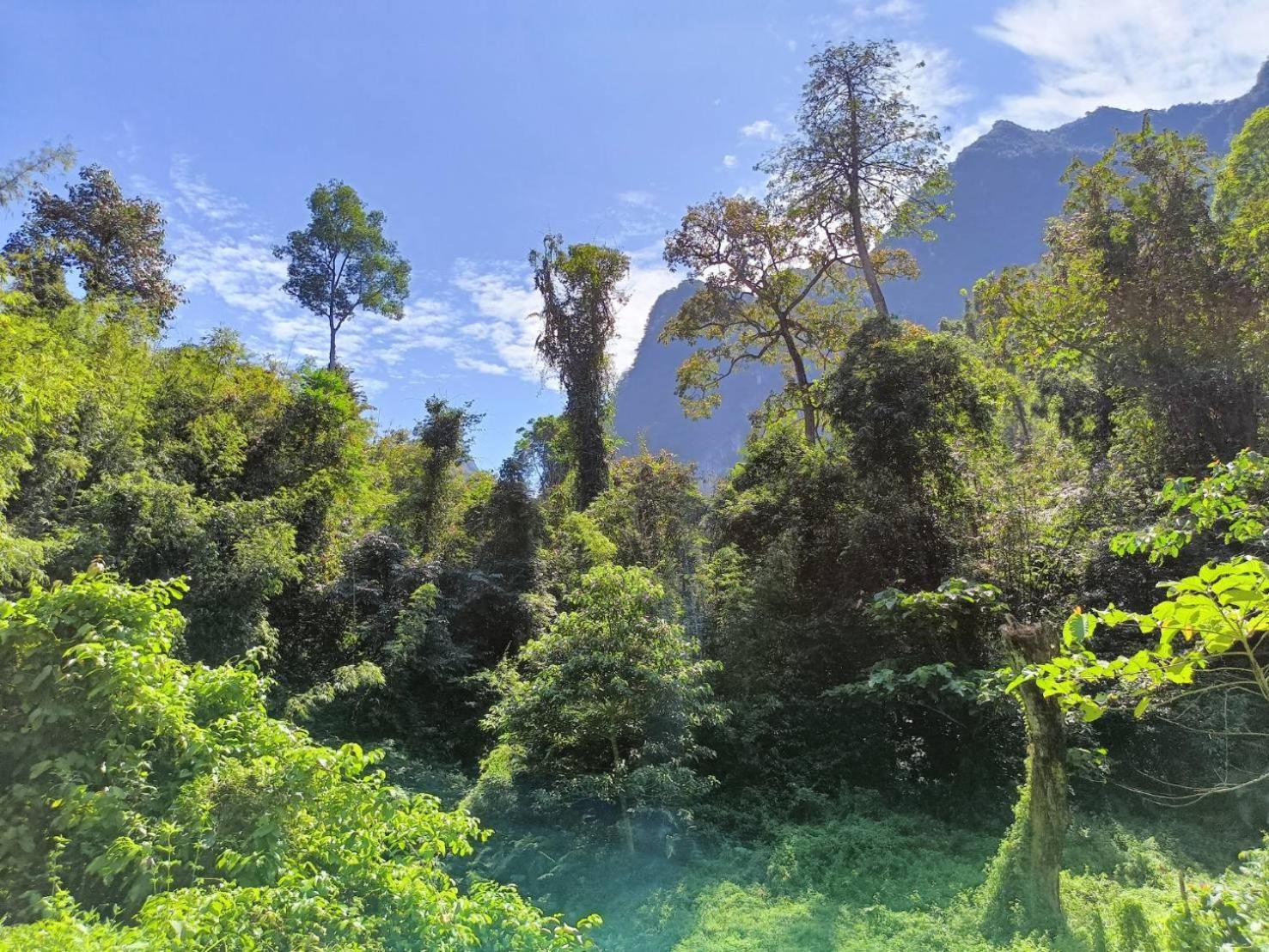 Khao Sok River & Jungle Bungalow Khao Sok National Park Экстерьер фото