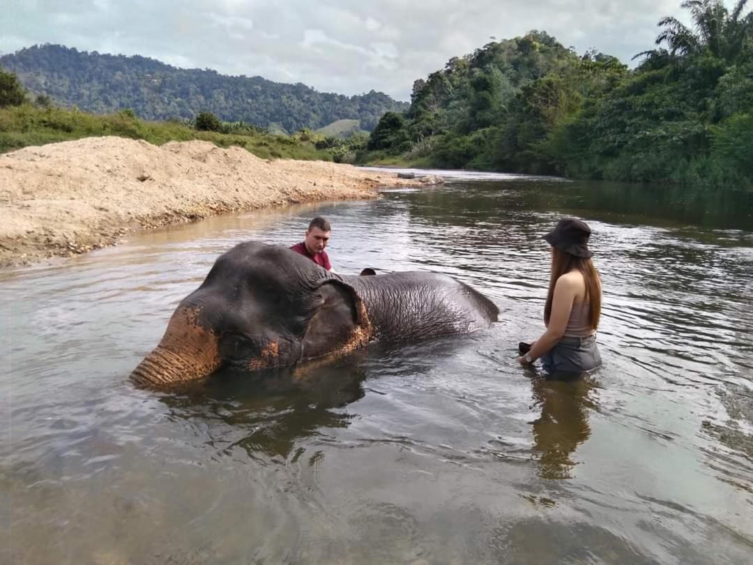 Khao Sok River & Jungle Bungalow Khao Sok National Park Экстерьер фото